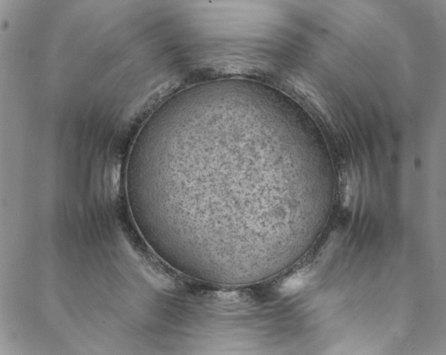 X0000088580406200706081128