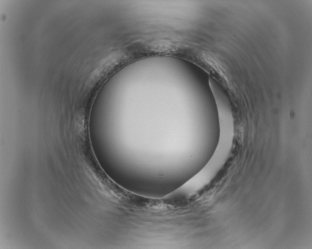 X0000088580407200706081128