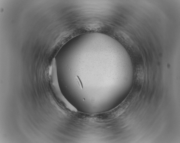 X0000088580408200706081128