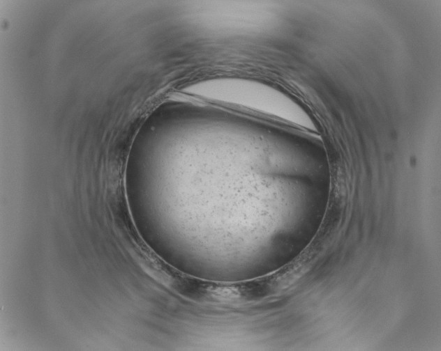 X0000088580409200706081128