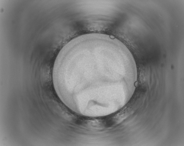 X0000088580411200706081128