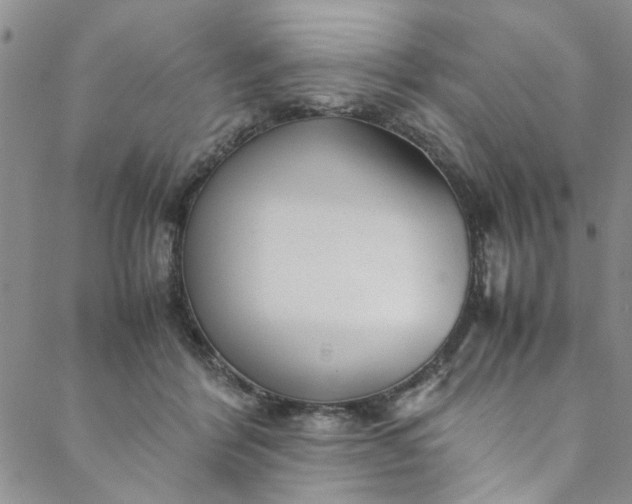 X0000088580412200706081128