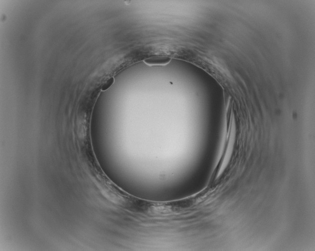 X0000088580413200706081128