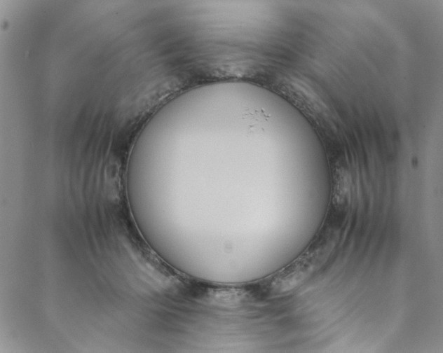 X0000088580414200706081128