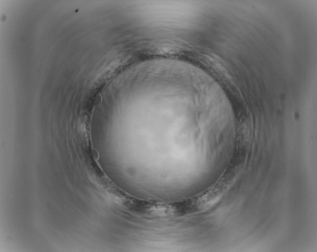 X0000088580415200706081128