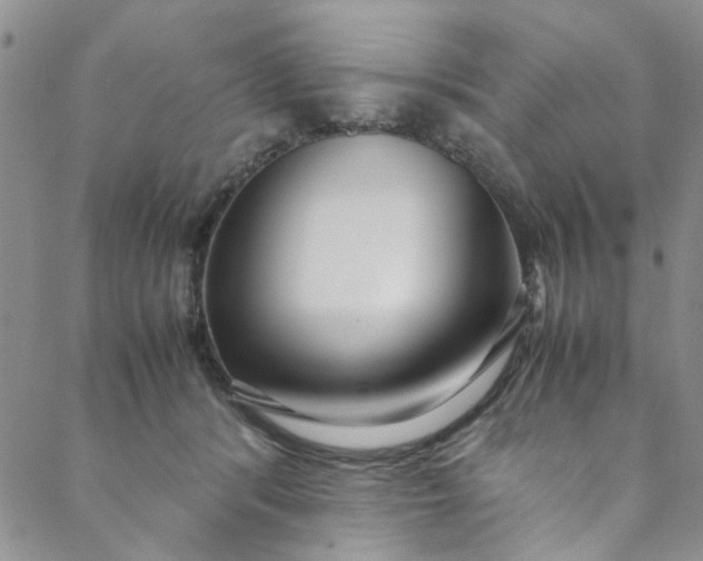 X0000088580416200706081128