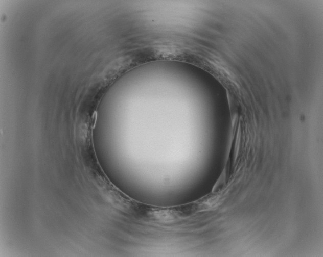 X0000088580417200706081128