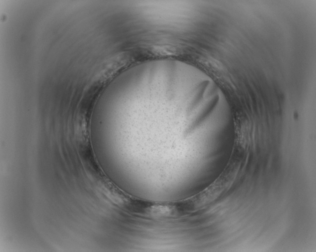 X0000088580418200706081128