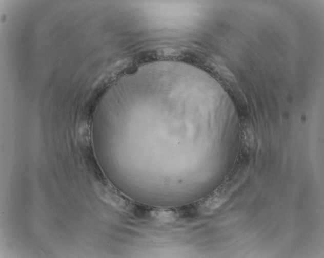 X0000088580419200706081128