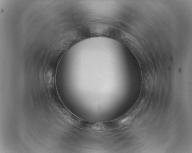 X0000088580420200706081128