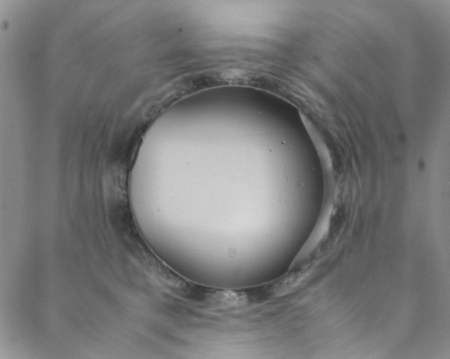 X0000088580421200706081128