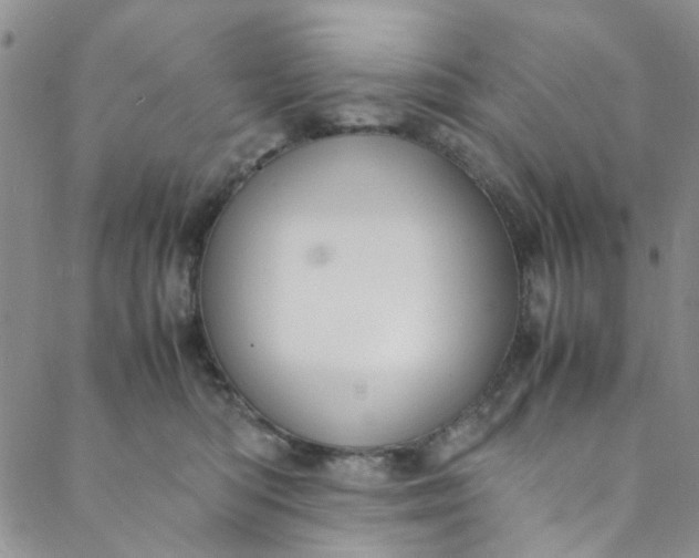 X0000088580422200706081128