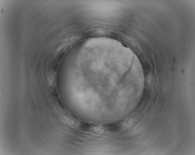 X0000088580423200706081128