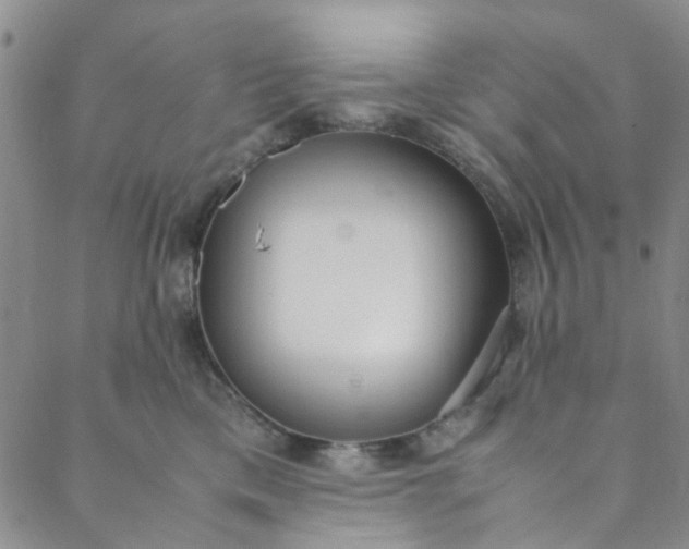 X0000088580425200706081127