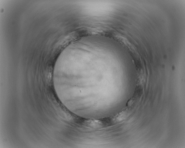 X0000088580427200706081127