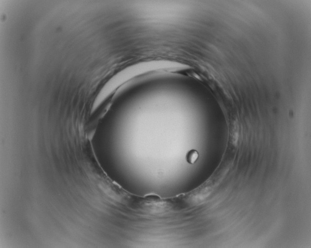 X0000088580428200706081127