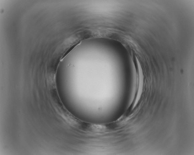 X0000088580429200706081127