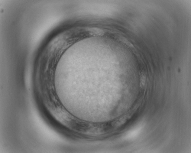 X0000088580431200706081127