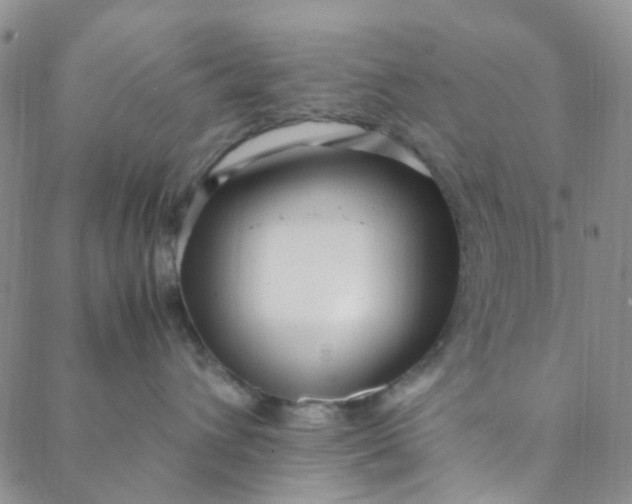 X0000088580432200706081127