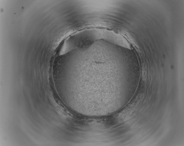 X0000088580434200706081126