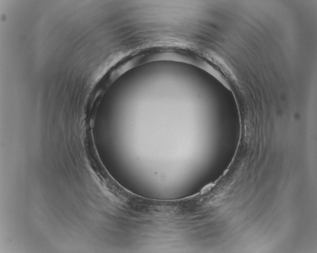 X0000088580436200706081126