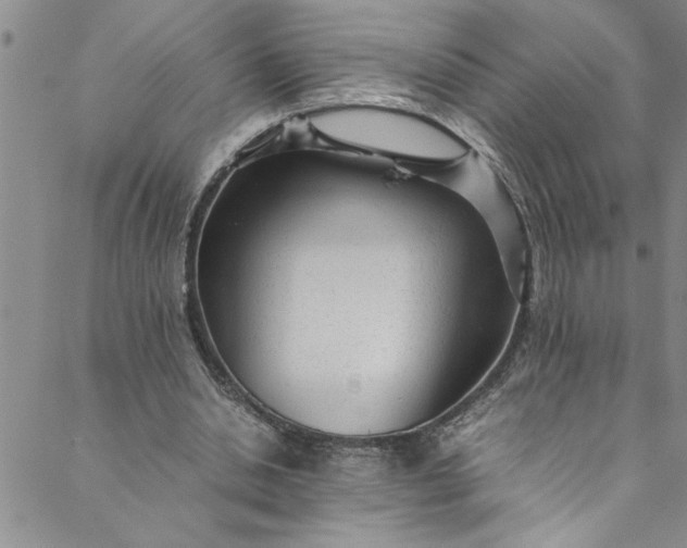 X0000088580438200706081126