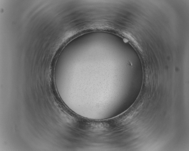 X0000088580439200706081126