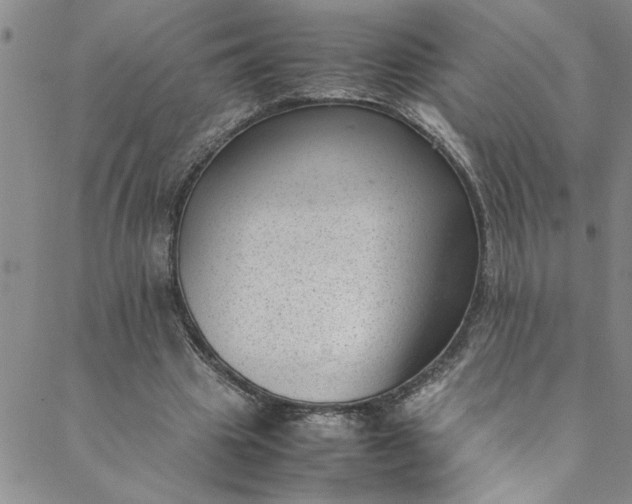 X0000088580441200706081127