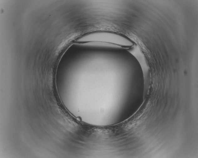 X0000088580442200706081127