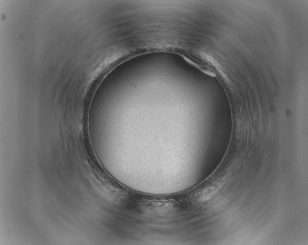 X0000088580443200706081127