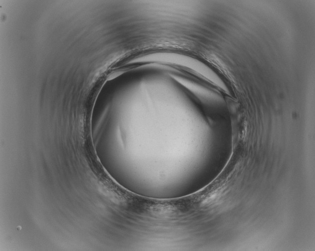 X0000088580444200706081127