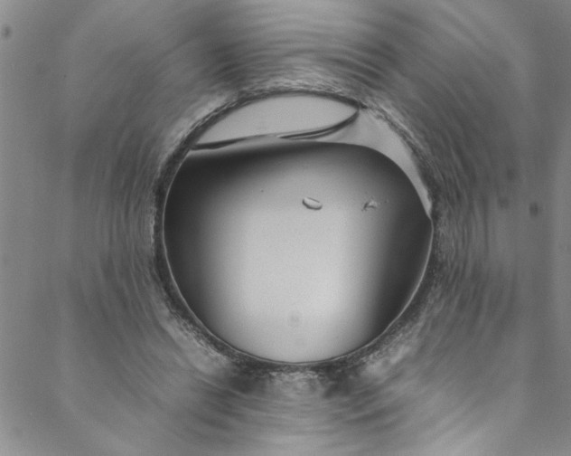 X0000088580446200706081127