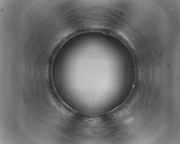 X0000088580447200706081127