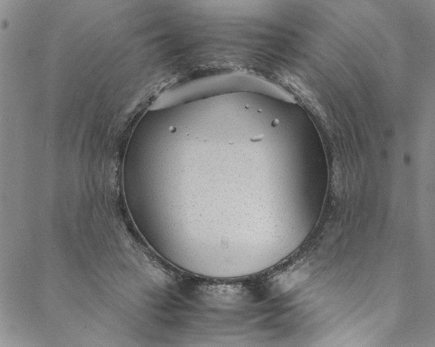 X0000088580449200706081127