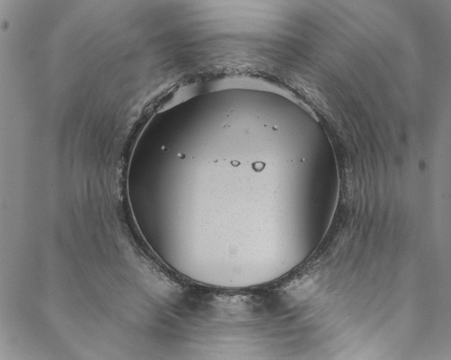 X0000088580450200706081127