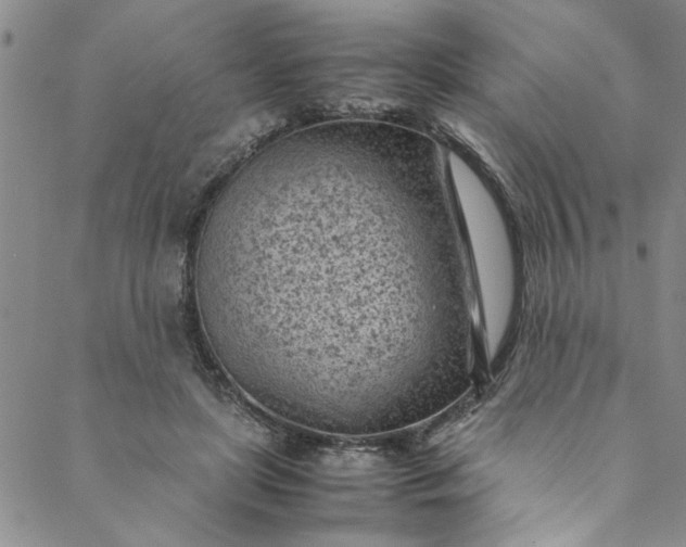 X0000088580451200706081127