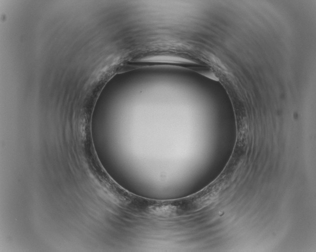 X0000088580452200706081127