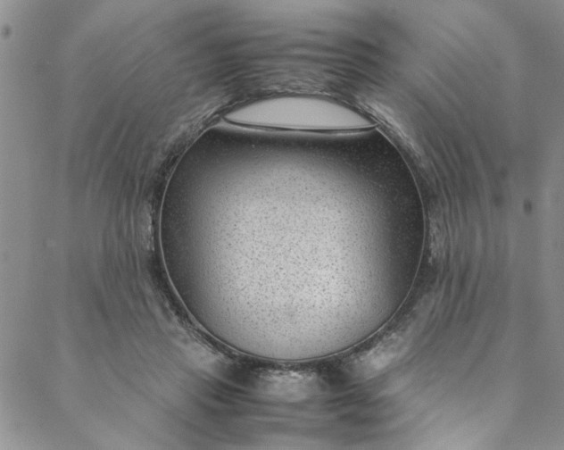 X0000088580453200706081127