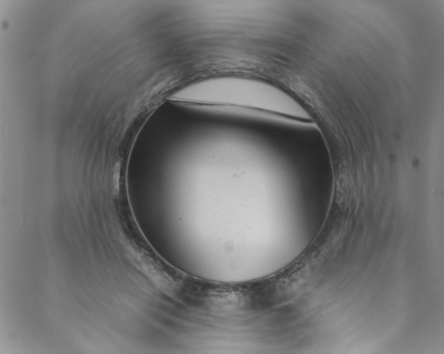 X0000088580454200706081127