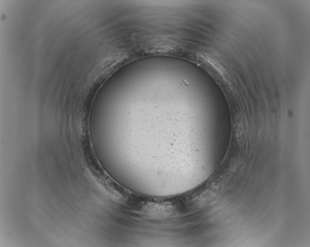 X0000088580455200706081127