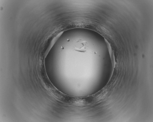 X0000088580456200706081127