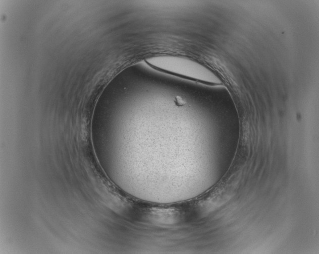 X0000088580457200706081127