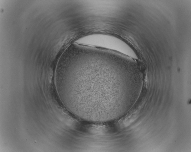 X0000088580458200706081127