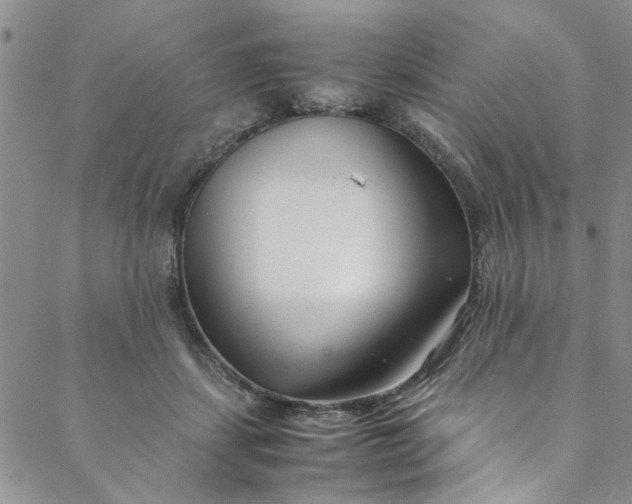 X0000088580459200706081127