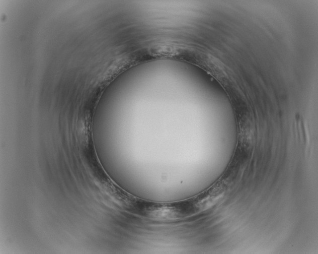 X0000088580460200706081127