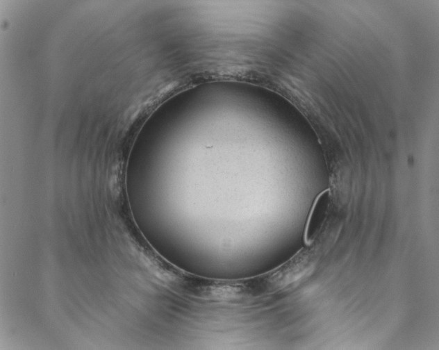 X0000088580462200706081127