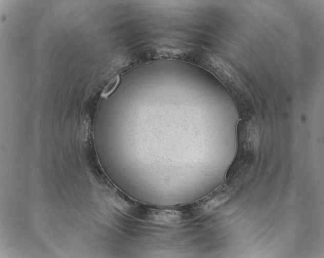 X0000088580463200706081127