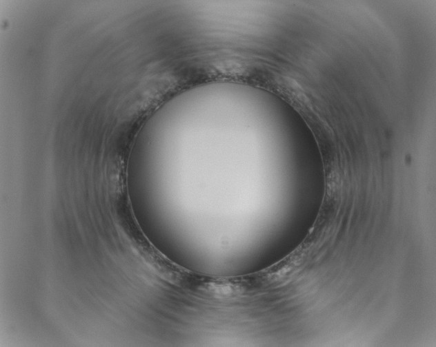 X0000088580464200706081127