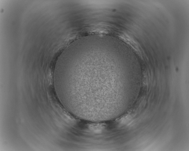 X0000088580465200706081127