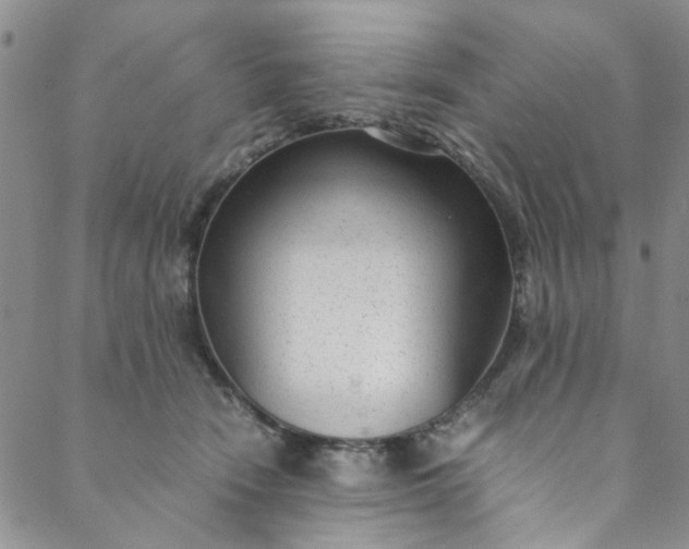 X0000088580466200706081127